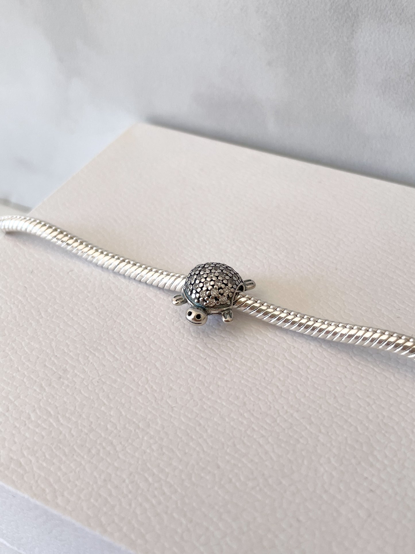 Tortuga plata