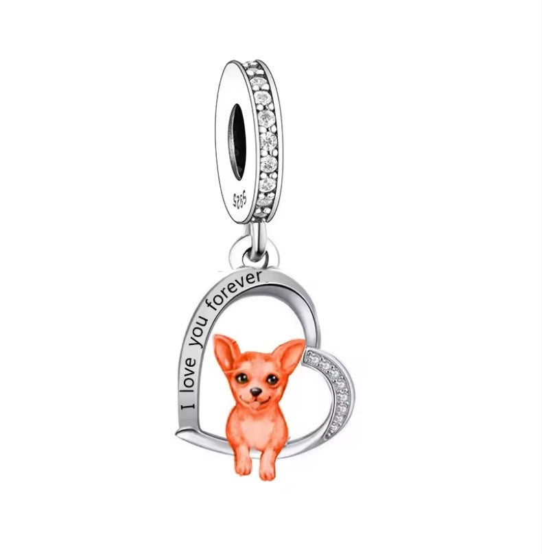 Perro chihuahua corazón