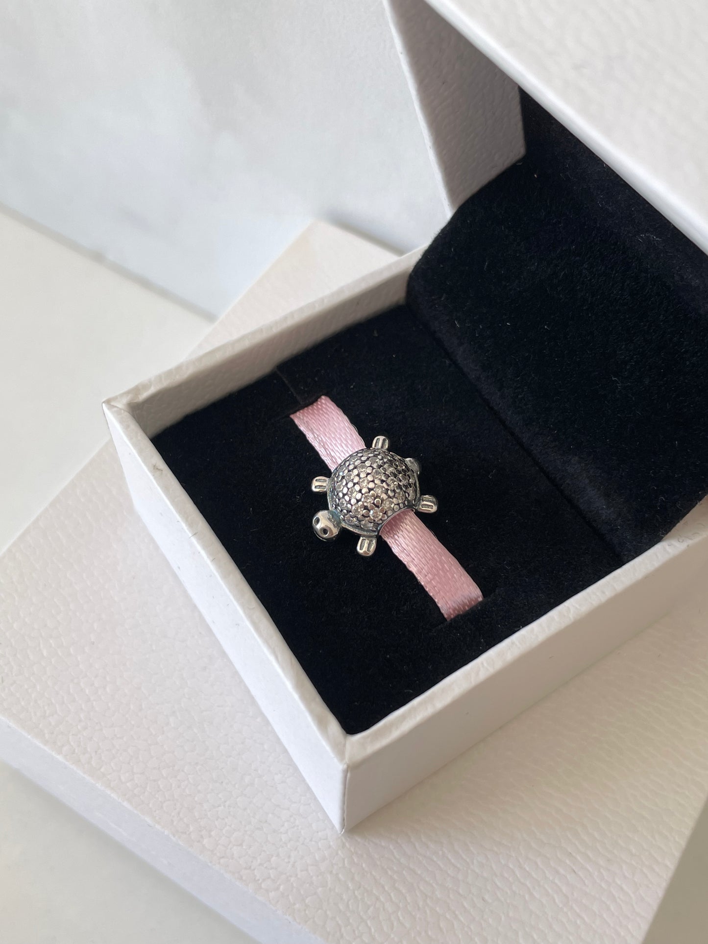 Tortuga plata