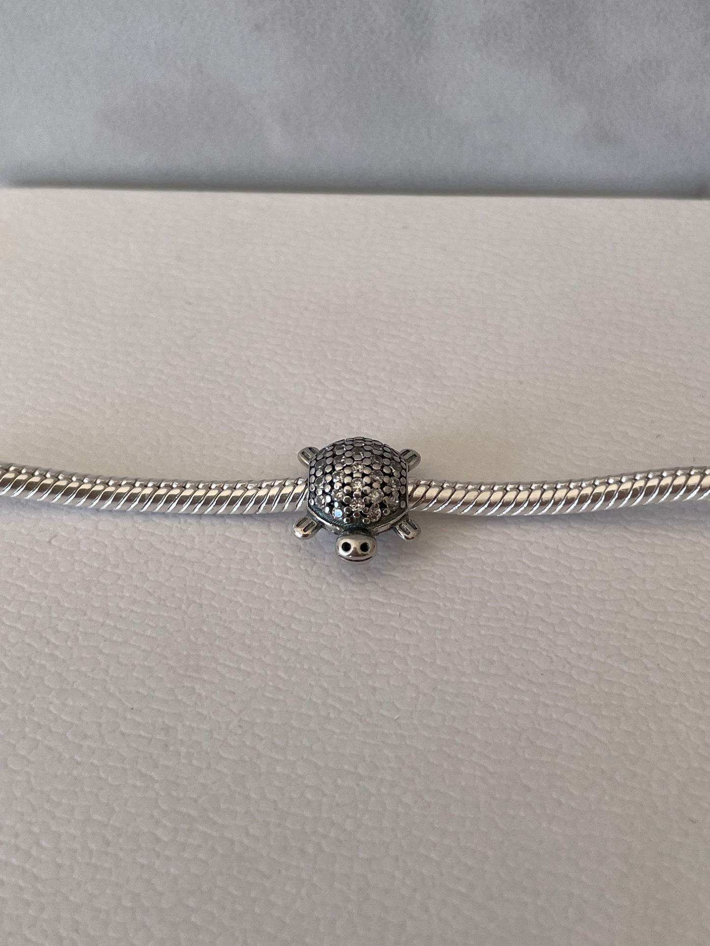 Tortuga plata
