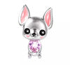 Chihuahua brillo